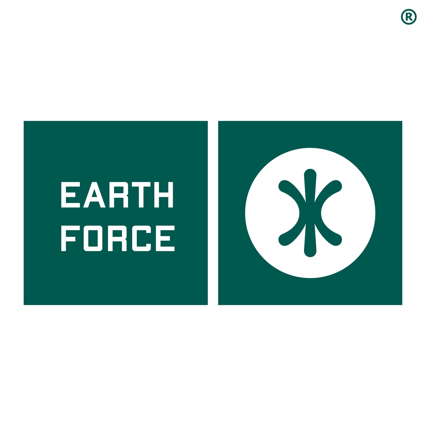 Earth Force ® Identity Kapuzenpullover